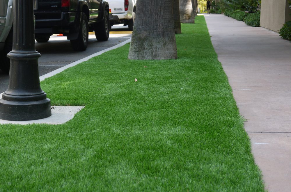 FAUX GRASS FOR COMMERCIAL ROADSIDE