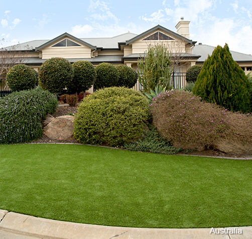 garden backyard