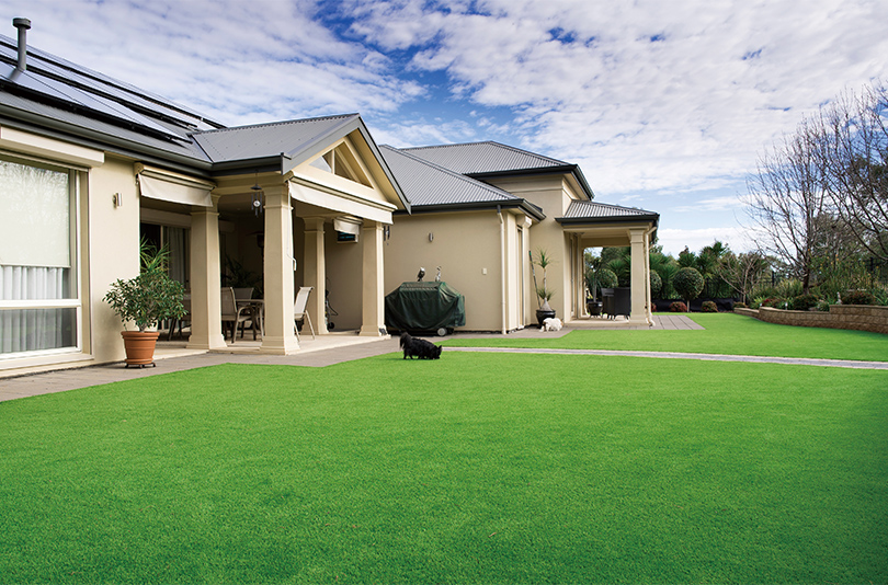 CCGrass, landscape turf garden