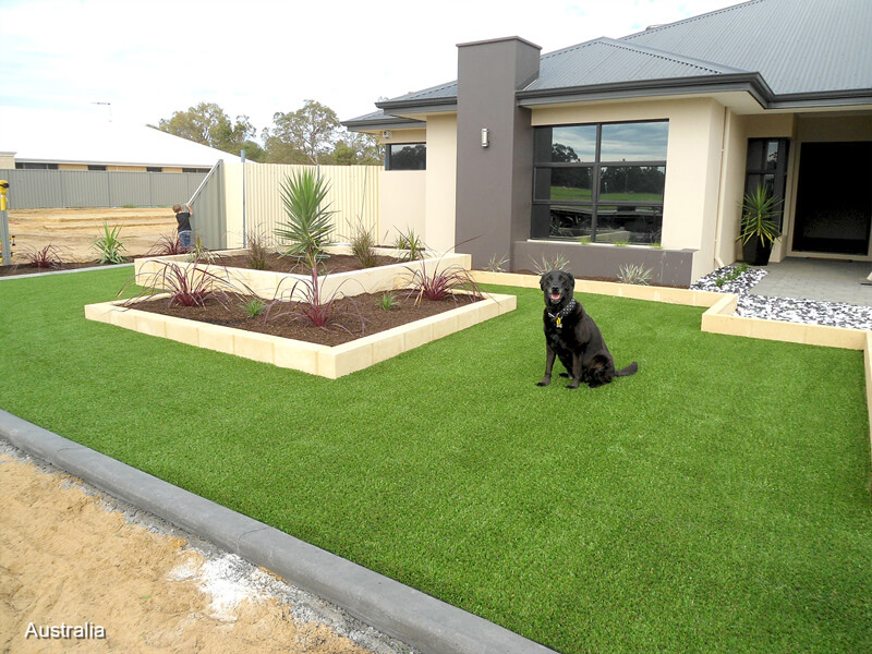 artificial grass for pets in garden