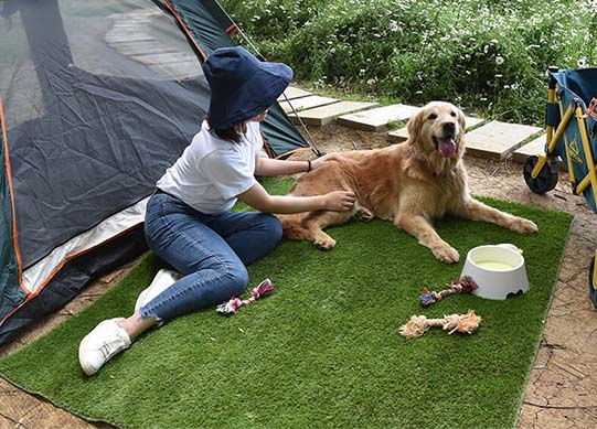 CCGrass, synthetic turf rug, picnic mat