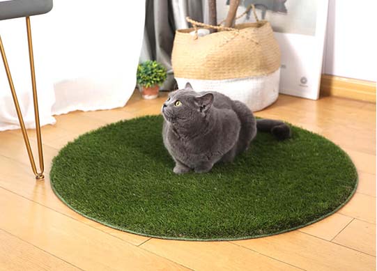 CCGrass, safe artificial grass for pets