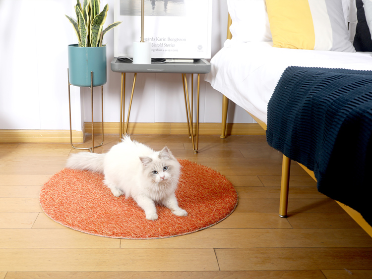 Exquisite pet grass mat for indoor use