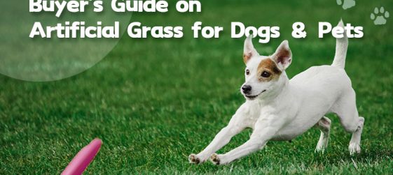 The Most Comprehensive Buyer’s Guide on Artificial Grass for Dogs & Pets