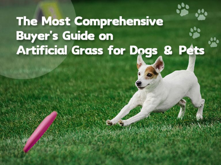 Buyer‘s Guide on Artificial Grass for Dogs & Pets CCGrass