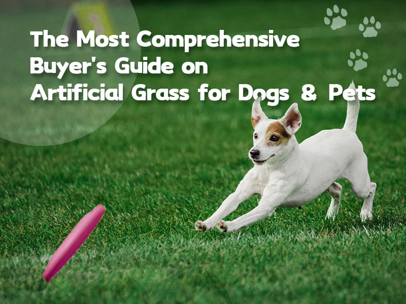 The Most Comprehensive Buyer's Guide on Artificial Grass for Dogs & Pets