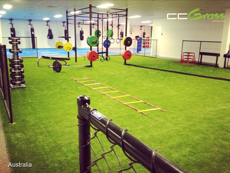 CCGrass, indoor artificial grass, gyms and fitness studios