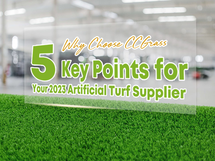 5 Key Points for Your 2023 Artificial Turf Supplier