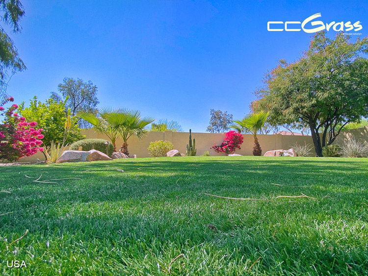 CCGrass, low-maintenance artificial grass garden