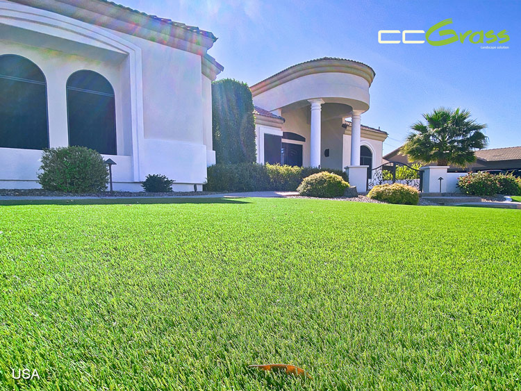 CCGrass, landscape grass, front yard garden